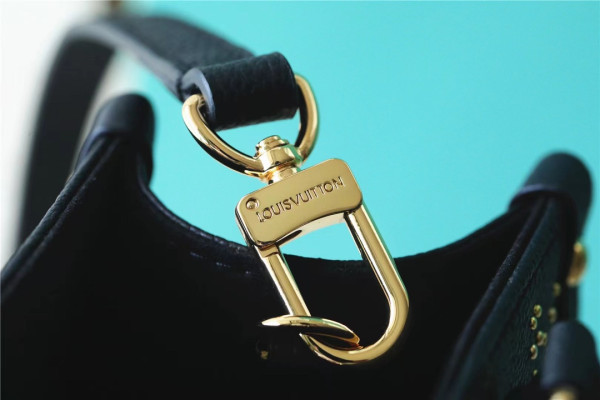 l0*is V*t0n onthego pm